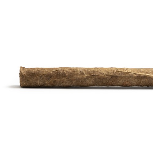 Chevron Corona Larga Cigar - 1 Single